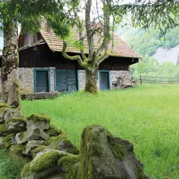 Escapade dans les Vosges : sur le sentier de la Wormsa