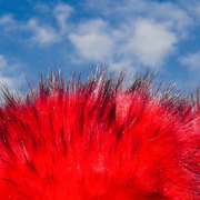 Sur le trottoir les fashions - Sonia Reveyaz