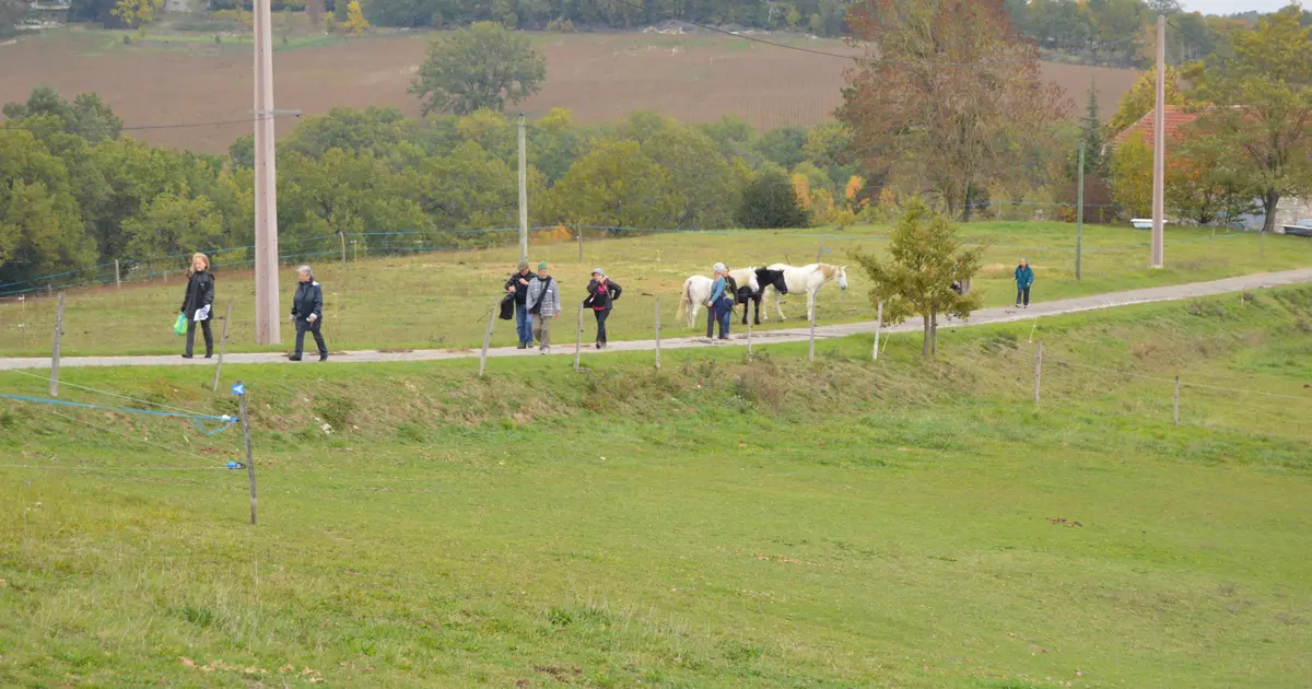 Sur les hauteurs de Saint-Robert
