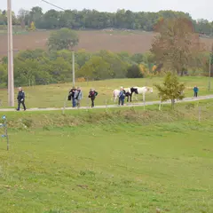 Sur les hauteurs de Saint-Robert