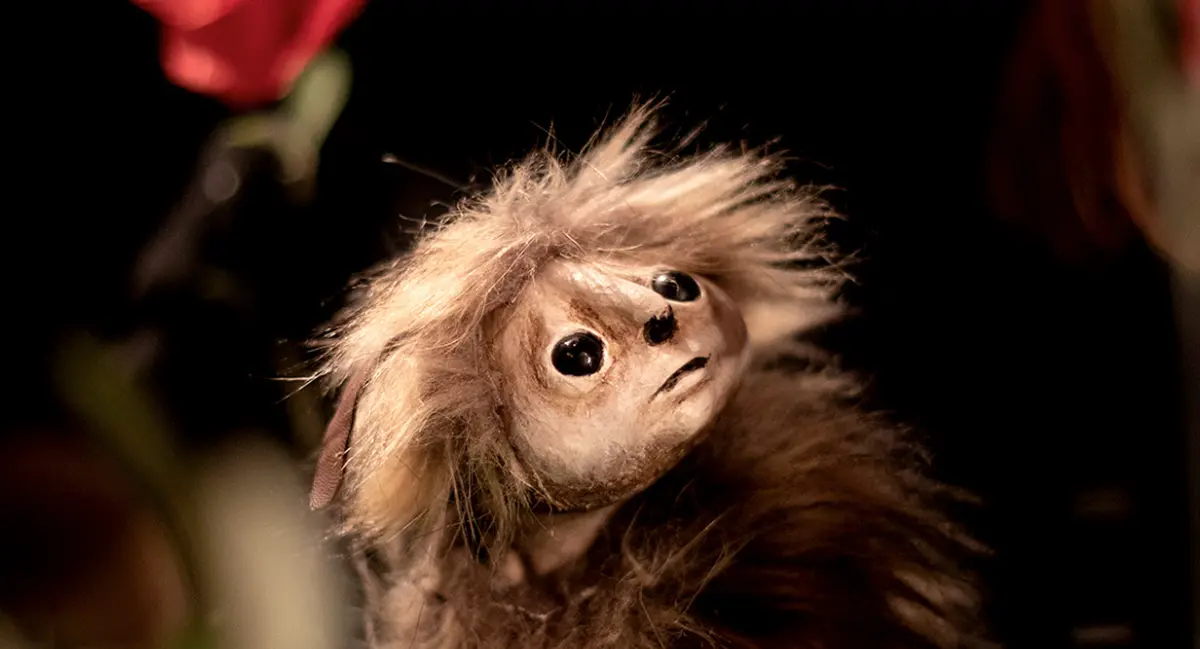 Sur Les Pas D'Oodaaq