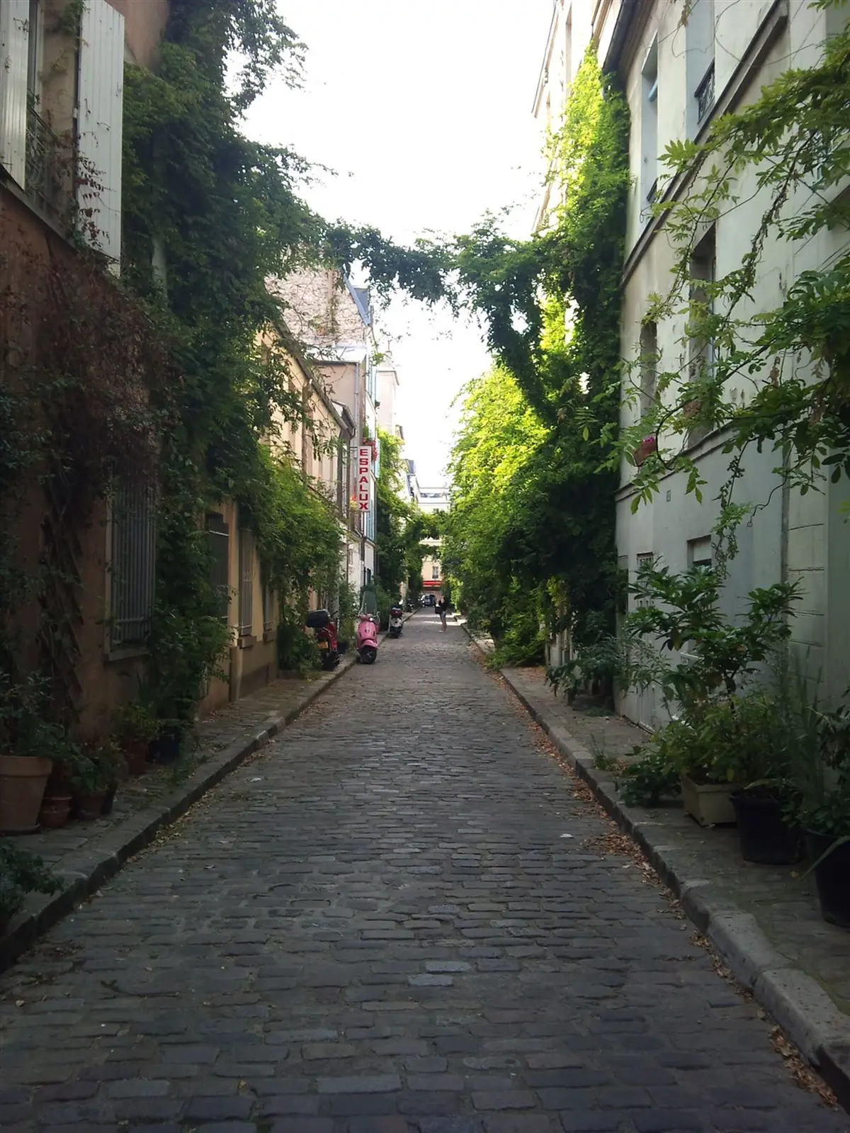 Sur les pas de Georges Brassens au Petit Montrouge
