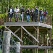 Sur les traces de nos voisins sauvages