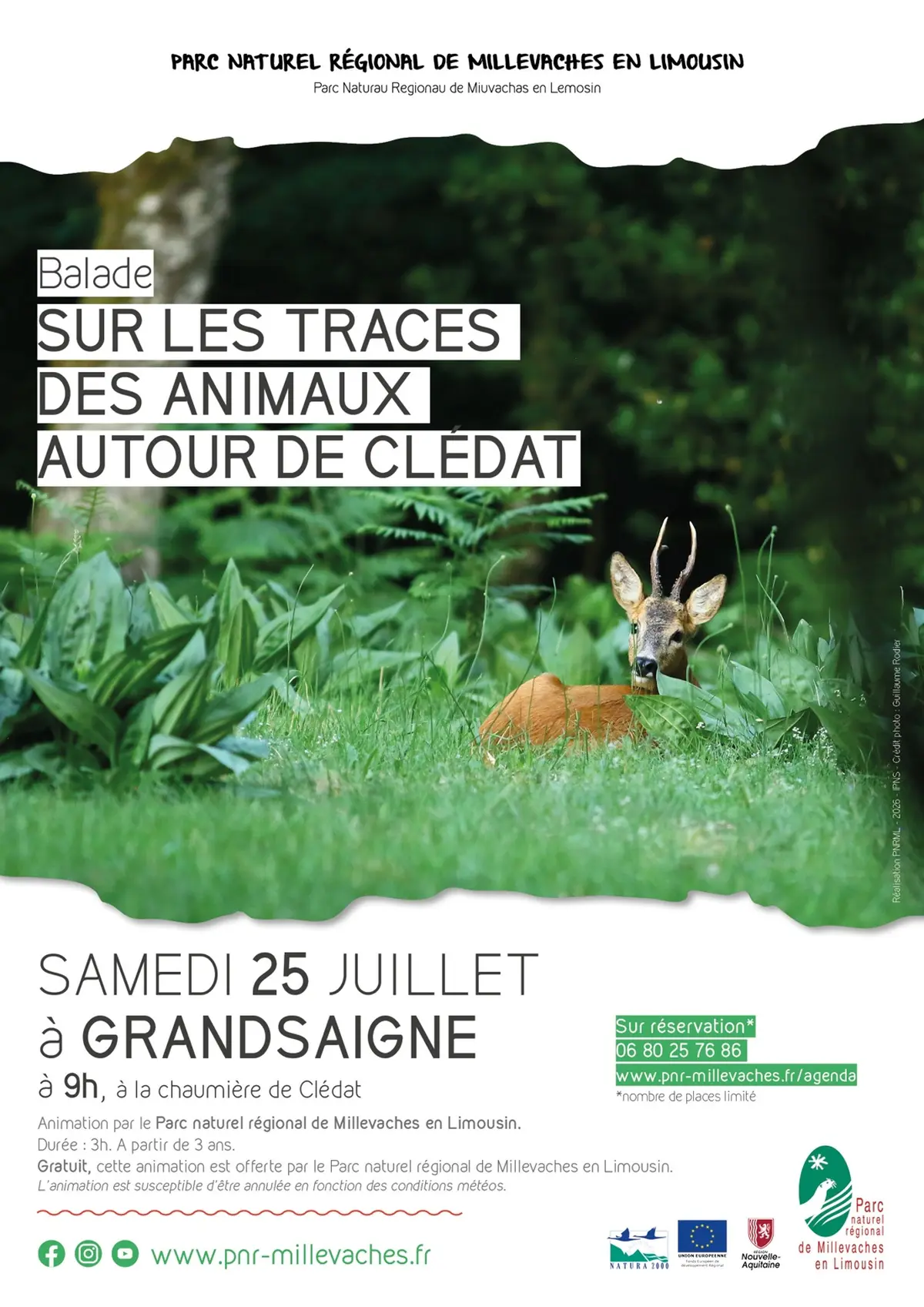 Sur les traces des animaux autour de Clédat