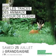 Sur les traces des animaux autour de Clédat