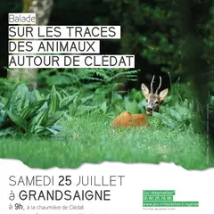 Sur les traces des animaux autour de Clédat
