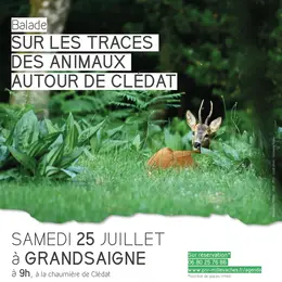 Sur les traces des animaux autour de Clédat
