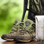 Sur les traces des mammifères semi-aquatiques