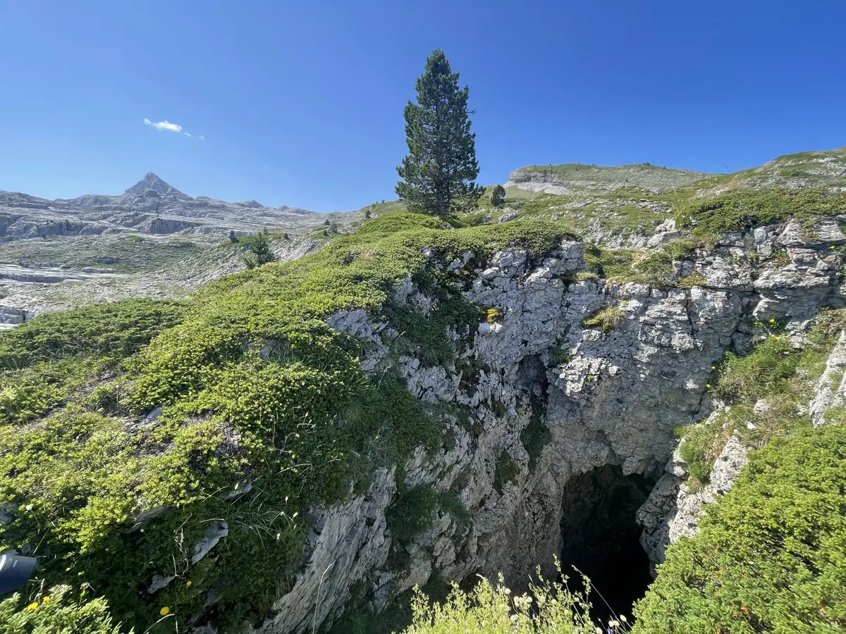 Sur les traces des marmottes