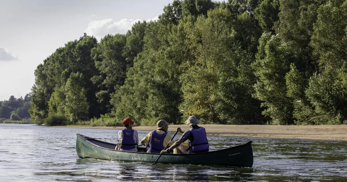 Sur les traces du castor et des oiseaux de la Loire en canoë