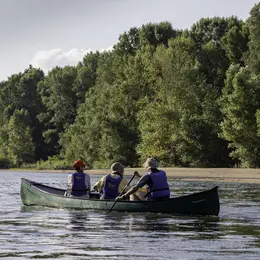 Sur les traces du castor et des oiseaux de la Loire en canoë