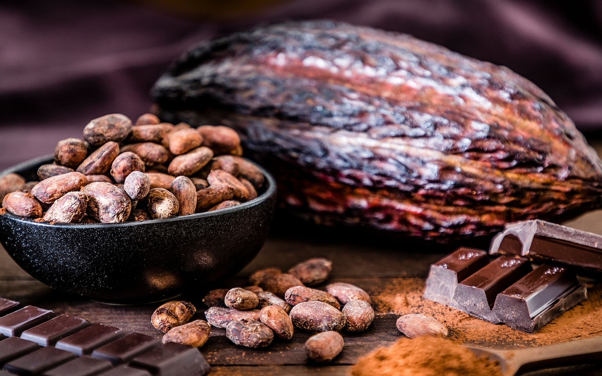 Sur les traces du chocolat : un voyage des mots et des saveurs