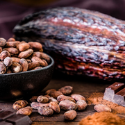 Sur les traces du chocolat : un voyage des mots et des saveurs