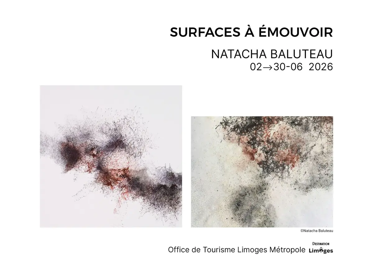 Surfaces à Émouvoir - Natacha Baluteau