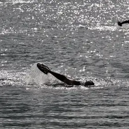 Swimrun De La Montagne Noire - 2ème édition