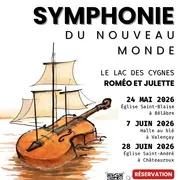 Symphonie du nouveau monde / Le lac des Cygnes