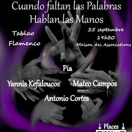 Tablao Flamenco Cuando faltan las palabras, hablan las manos