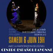 Tablao Flamenco: grande soirée festive