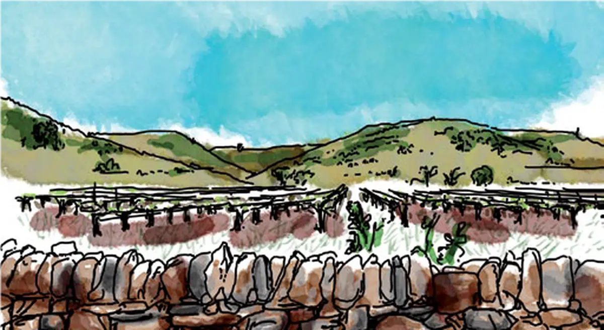 Table-Ronde : Se Réapproprier La Pierre Sèche