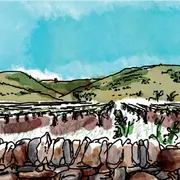 Table-Ronde : Se Réapproprier La Pierre Sèche