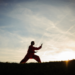 Tai Chi Chuan