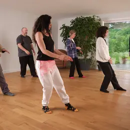 Tai Chi Chuan Et Equilibre Postural à Saint Michel Et A Cazeres