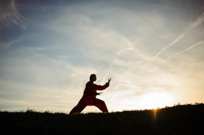 Tai Shi Shuan