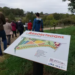 Taille d’été et suivi sur les arbres de l’Arboretrogne à Boursay