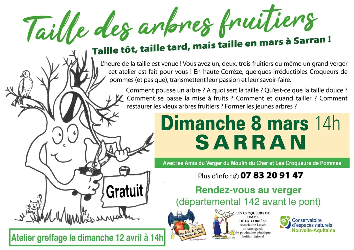 Taille des arbres fruitiers