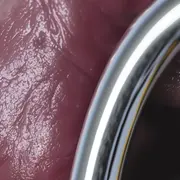 TALENT’ARTS 2026 - Noria Kaouadji et Romain Ravera