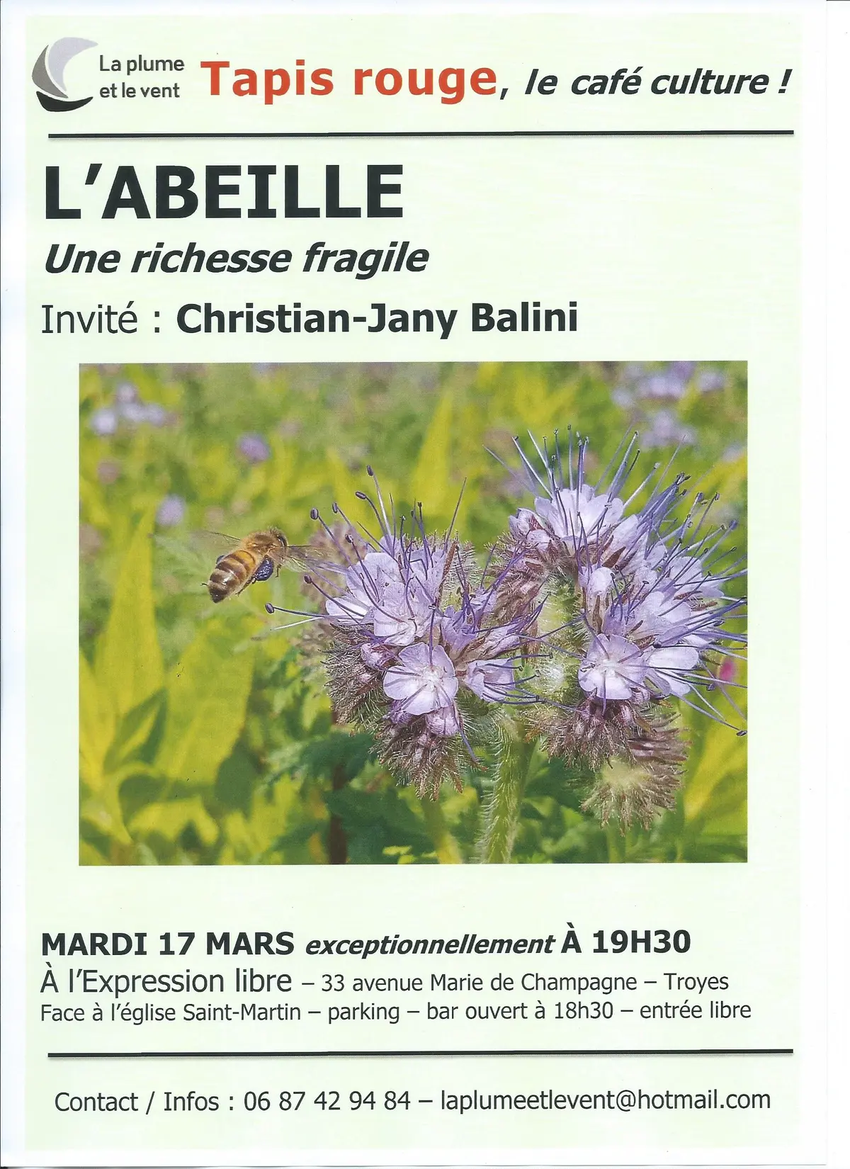 Tapis rouge, le café culture de La plume et le vent : L'abeille : une richesse fragile