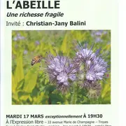 Tapis rouge, le café culture de La plume et le vent : L'abeille : une richesse fragile