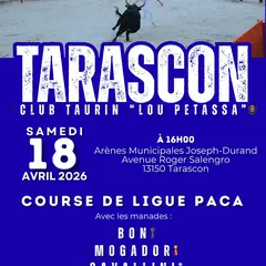 Tarascon/Course Camarguaises - Taureaux Piscine/Club Taurin Lou Pétassa