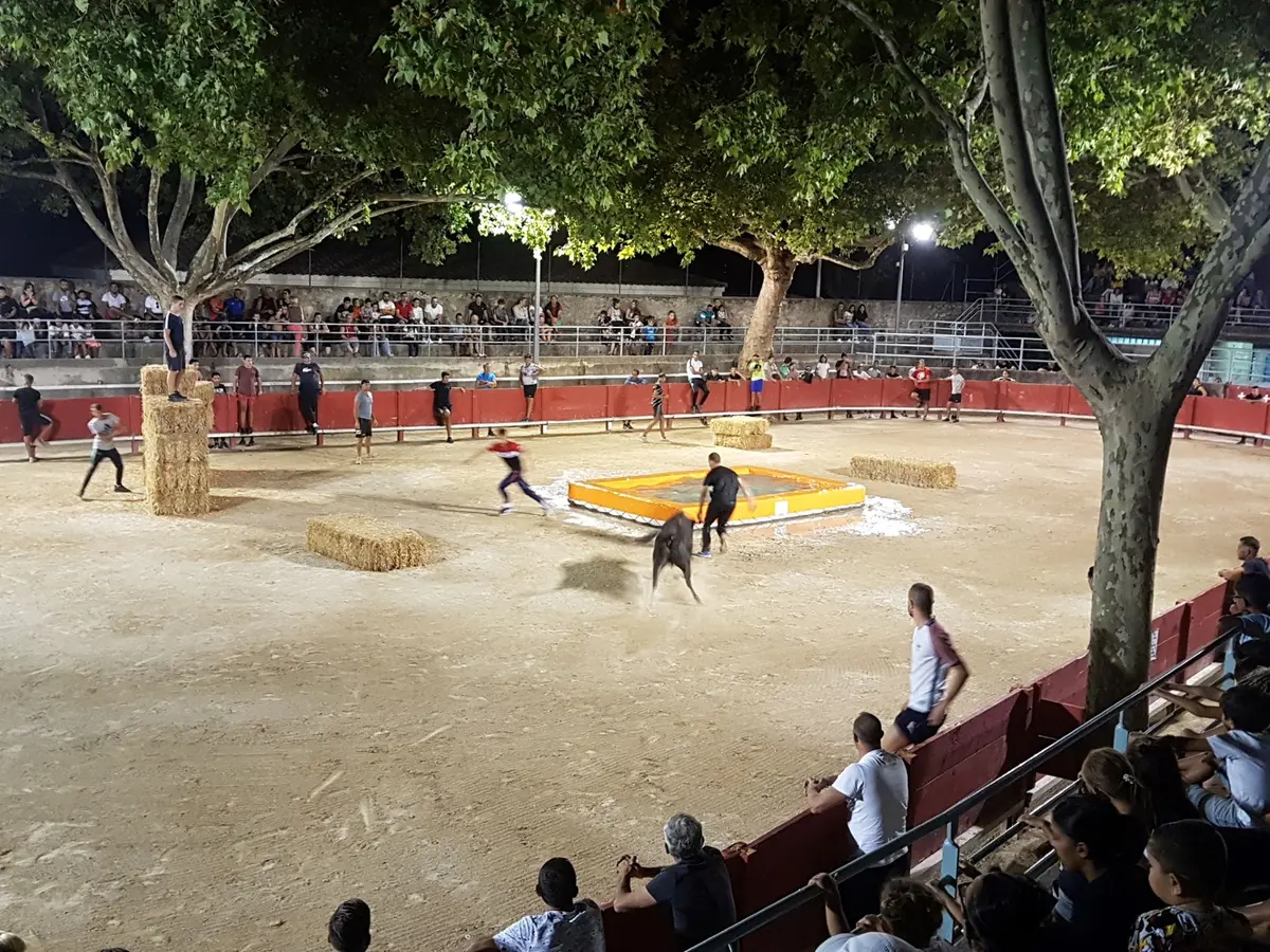 Tarascon Taureau Piscine Club Lou Tau