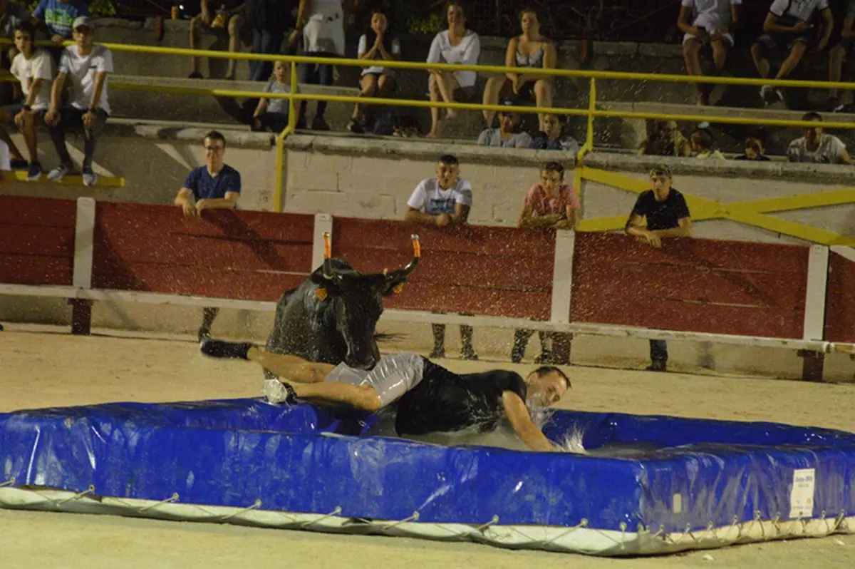 Taureau piscine - Club taurin Lou glanum