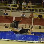 Taureau piscine - Club taurin Lou glanum