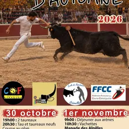 Taureaux d'Automne