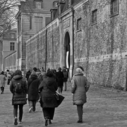 TaxiTram - Balade en autocar du réseau TRAM