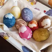 Teinture Végétale Sur Oeufs