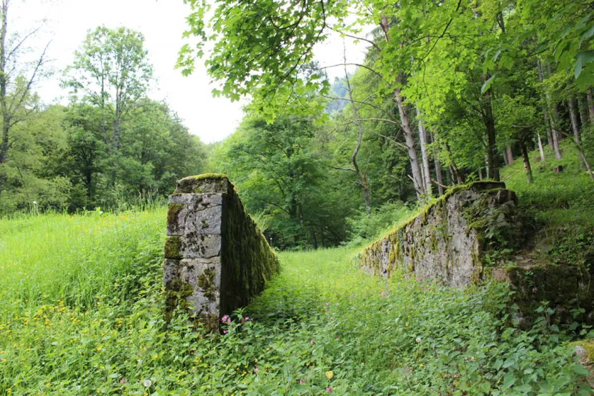 Sur le chemin retour, en direction de Mittlach