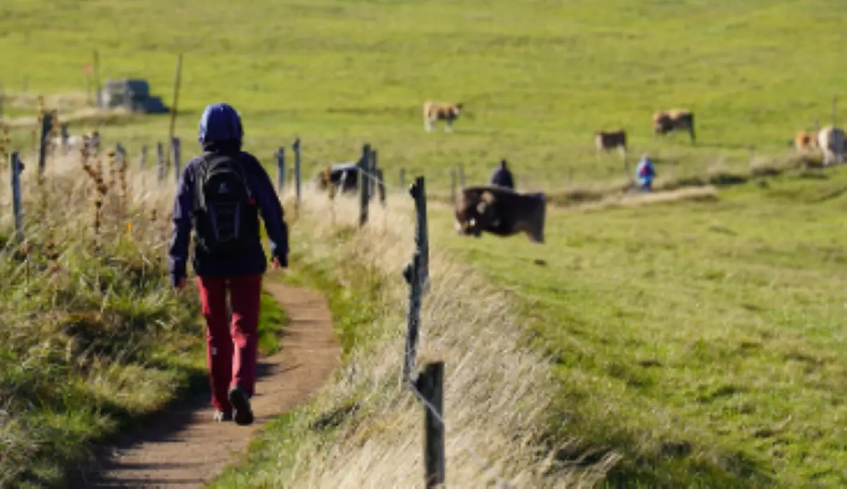 Téléthon Cantonal | Randonnée, animations et restauration