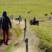 Téléthon Cantonal | Randonnée, animations et restauration
