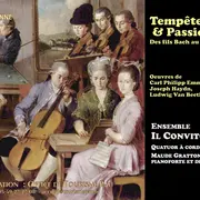 “Tempête & Passion - Des fils Bach au jeune Beethoven