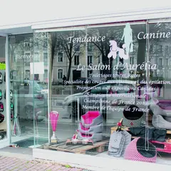 Tendance canine