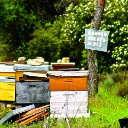 8 activités originales à tester pour la rentrée !