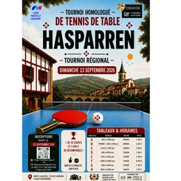 Tennis de table : tournois régional