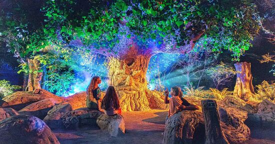 Top 7 des id&eacute;es sorties pour ce week-end &agrave; Angers (du 24 au 26 avril 2026)