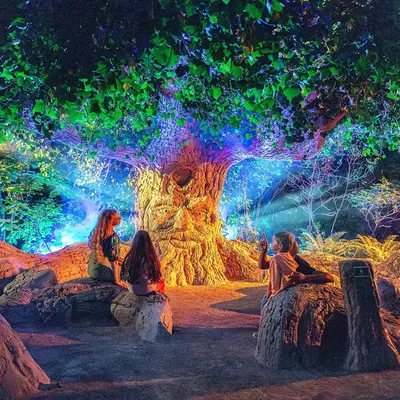 Maine-et-Loire : nos 6 idées sorties du week-end