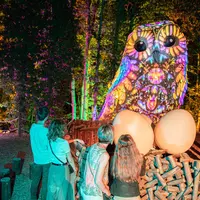 Terra Nocta &copy; Terra Botanica