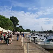 Terra Ostra en balade